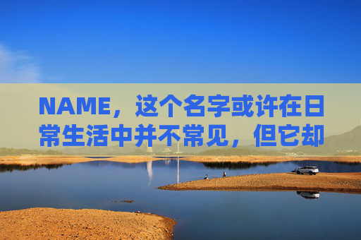 NAME，这个名字或许在日常生活中并不常见，但它却在某些领域里扮演着重要的角色。今天，让我们一起来探索这个名字背后的故事和意义